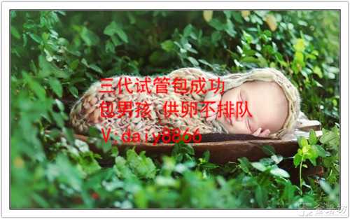 上海代怀生子网_做泰国试管婴儿怎么样调理身体更有效？