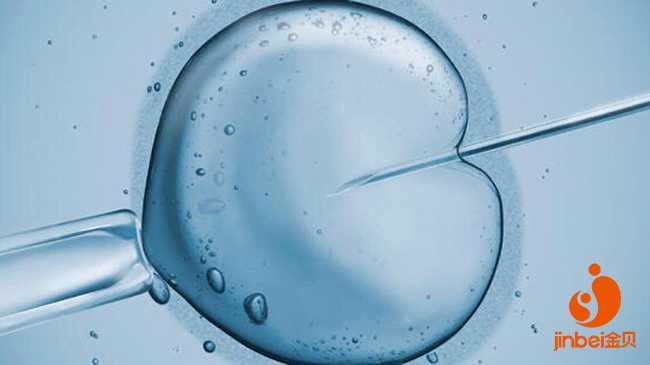 太原供卵官网_三代试管婴儿技术原理是什么？发展有多少年了？