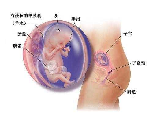 上海泰东方_如何提高试管婴儿成功率，试管前需要做哪些准备工作