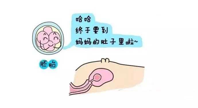 深圳市一助就孕_试管婴儿前准备工作详细，拿上你的小本本记好 